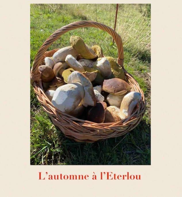 L'Eterlou Authentique Partie De Corps De Ferme 10Pers. Villa Targassonne Luaran gambar